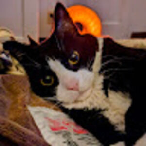 Meet your Posher, Tracy